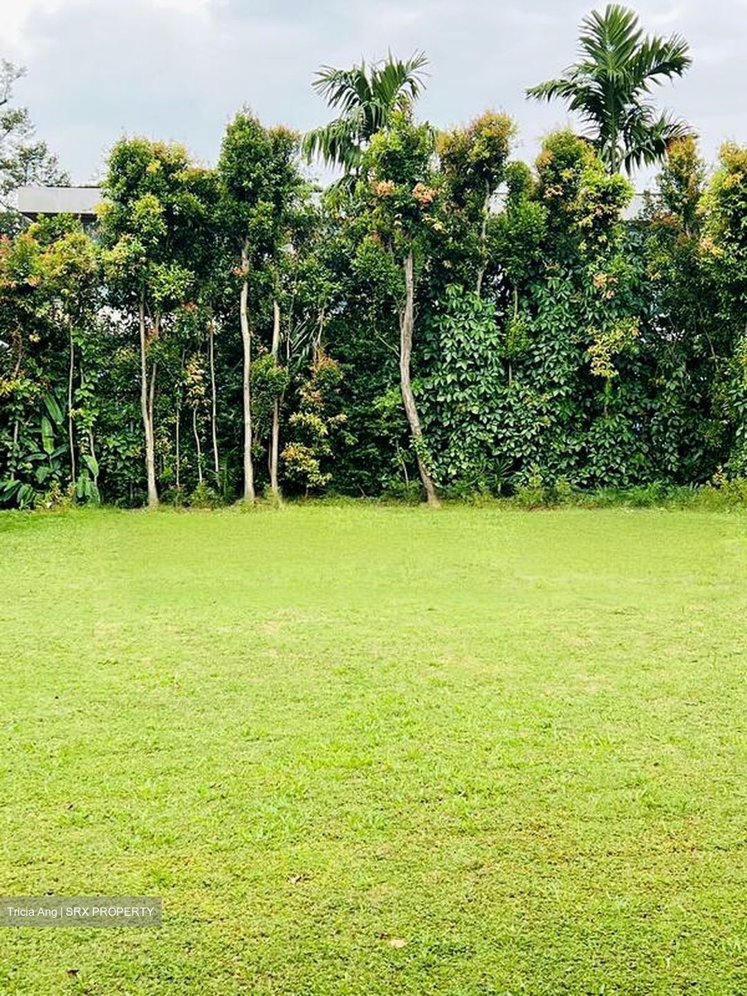 Bin Tong Park (D10), Detached #468367311